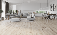 Каменно-полимерный ламинат SPC Alpine Floor by Classen Pro NatureTaraza 62545