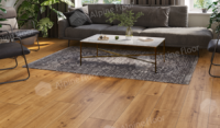 Каменно-полимерный ламинат SPC Alpine Floor by Classen Pro NatureAndes 62544