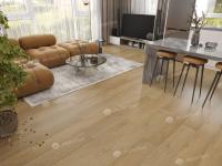 Каменно-полимерный ламинат SPC Alpine Floor Classic Light Клен классический ECO 173-66 MC
