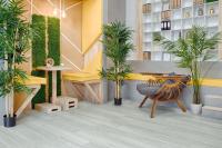 Каменно-полимерный ламинат SPC Alpine Floor Grand Sequoia ГРАНД СЕКВОЙЯ САГАНО ECO 11-22 MC ECO 11-22 MC