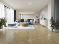 Каменно-полимерный ламинат SPC Alpine Floor by Classen Pro NatureNore 61865