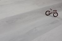 Виниловый ламинат SPC Evofloor Optima Dry Back - Дуб Снежный