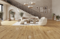 Каменно-полимерный ламинат SPC Alpine Floor by Classen Pro NatureSoacha 62541