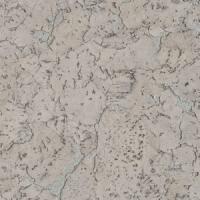 Настенные пробковые покрытия VISCORK (ВИСКОРК)  ARTWALL YS 1D001 Salad