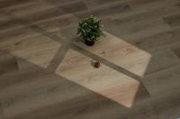 SPC ламинат Steinholz Фердинанд STH032