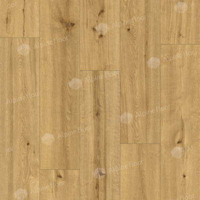 Каменно-полимерный ламинат SPC Alpine Floor by Classen Pro NatureSoacha 62541