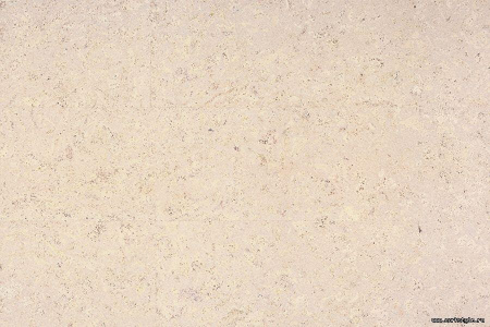 Пробковые полы c фотопечатью CORKSTYLE (КОРКСТАЙЛ) CORKWISE Madeira White